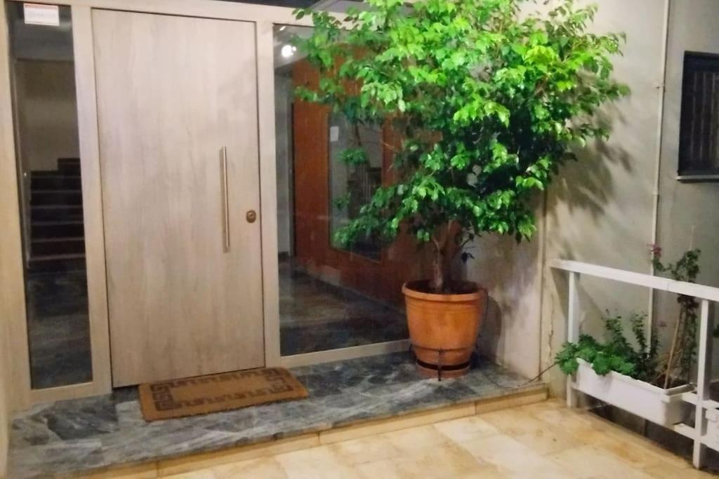 Athens Paradise Cozy 53 Sqm Apartament Near To Metro Exteriér fotografie